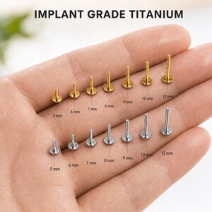 Op de afbeelding: Labret-studs van implantaat-titanium in goud- en zilverkleuren. De set bevat diverse lengtes met de aanduidingen 5 mm, 6 mm, 7 mm, 8 mm, 9 mm, 10 mm en 12 mm. Elke stud heeft een platte, ronde basis en een dunne staaf, gerangschikt in twee rijen.
