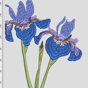 Peut inclure: Un motif de broderie représentant deux fleurs d'iris bleues avec des accents violets, des détails blancs et des tiges vertes. Le motif est présenté sur un fond gris clair avec une règle sur les bords supérieur et gauche indiquant les mesures en millimètres.
