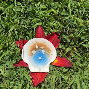 May include: A white scallop shell featuring a decorative interior design with a blue circular center, a small white starfish, and a sandy texture at the top. The shell is positioned on top of a large, dark red flower with pointed petals.