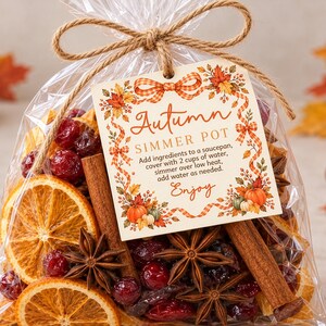 Peut inclure: Un sachet en plastique transparent rempli de tranches d'orange séchées, d'anis étoilé, de bâtons de cannelle et de canneberges rouges. Une étiquette carrée est attachée avec de la ficelle, portant le texte Autumn SIMMER POT.