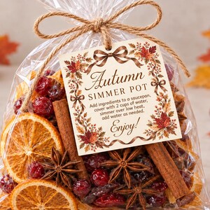 Può includere: Un sacchetto di plastica trasparente riempito con fette di arancia essiccate, bastoncini di cannella, anice stellato e mirtilli rossi. Un'etichetta quadrata legata con dello spago recita: Autumn SIMMER POT. Add ingredients to a saucepan, cover with 2 cups of water, simmer over low heat, add water as needed. Enjoy!