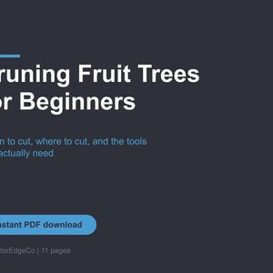 Op de afbeelding: Een digitaal document getiteld Pruning Fruit Trees for Beginners met de ondertitel When to cut, where to cut, and the tools you actually need. De donkergrijze pagina bevat een blauwe horizontale lijn, een blauwe knop met de tekst Instant PDF download en de tekst OperatorEdgeCo | 11 pages.