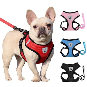 May include: A red mesh dog harness with a black trim, a reflective strip, and a small shield-shaped patch featuring a paw print. The harness includes a matching red lead. Additional harness and lead sets are shown in pink, blue, and black.