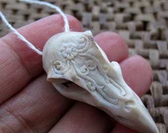 Excellent Detailed Raven Skull ,DRILLED, Naturally  Shed Deer Antler,  Focal for Gothic Totem  B8194