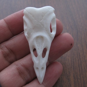 Hand Carved Raven Pendant, Side-Drilled,  Choker, Buffalo Bone Carving, Pendant Beads,Jewelry making Supplies B8535
