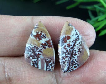Excellent Sonoran jasper Pair cabochon, Jewelry making supplies