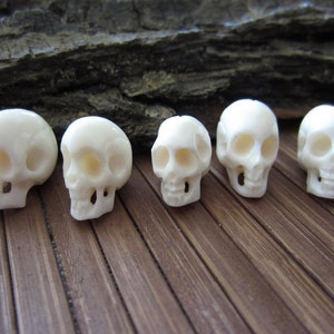 Amazing detail  Hand Carved Bone  5 piece Small Skull,  Carved Ox Bone , NOT Drilled, B5315