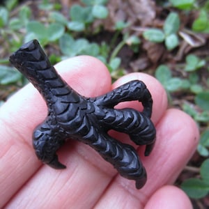 May include: Black carved bird foot pendant. The foot is detailed with scales and claws.