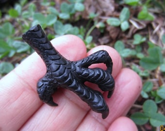 Puede incluir: Péndulo de pie de pájaro tallado en negro. El pie está detallado con escamas y garras.
