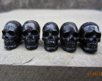 Excellent detail Hand Carved Buffalo Horn Skull Beads, 5 piece Set, Top to Bottom   Drilled  B5230