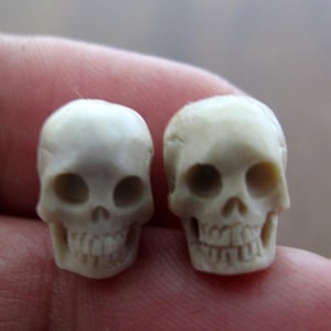 Paire de perles tête de mort en bois de cerf incroyablement détaillées de 12 mm, percées de haut en bas B8122