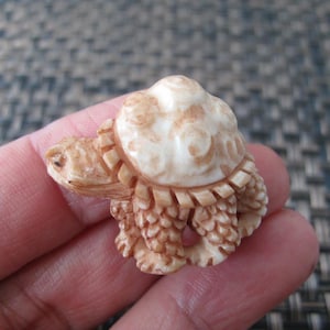 Amazing detail hand carved little turtle, organic cabochon  , Jewelry making supplies B3810