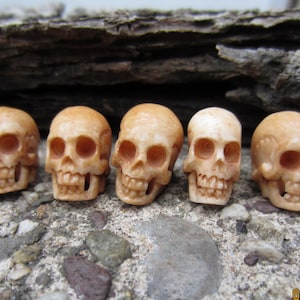 Hand Carved Small Skulls , 5 piece Skull Beads Set, SIDE-DRILLED.  Carved Ox Bone , B3515