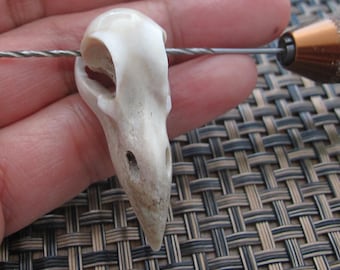 Natural look Raven Skull,  Carved from Deer Antler,  Drilled, gothic pendant  Jewelry making Supplies B8615