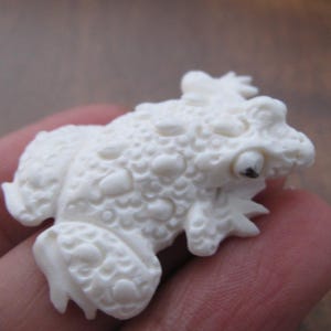 Hand Carved Adorable Toad, Buffalo Bone Carving, NOT-Drilled, Frog, Jewelry making Supplies B8611