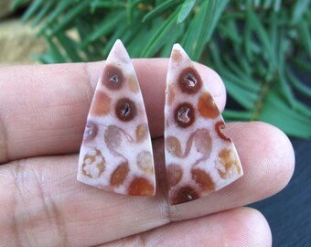 Indonesian  fossil coral  pair cabochon, Natural cabochon,coral gemstone,  Semiprecious stone, Jewelry making Supplies
