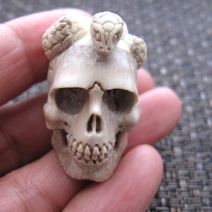 May include: A carved skull figurine with a snake coiled around the top. The skull is off-white with detailed carvings of teeth, eye sockets, and a nose. The snake has a detailed head and scales.
