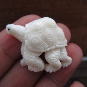 Amazing detail hand carved little turtle, organic cabochon  , Jewelry making supplies B3810