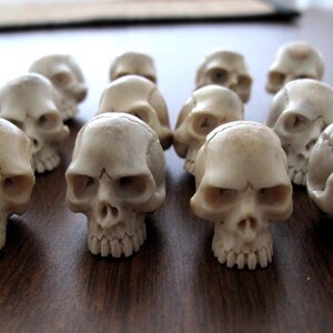 Detailed Skull Carving,  Jawless Skull, Naturally  Shed Deer Antler, Jewelry making supplies B6657