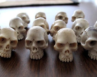 Detailed Skull Carving,  Jawless Skull, Naturally  Shed Deer Antler, Jewelry making supplies B6657