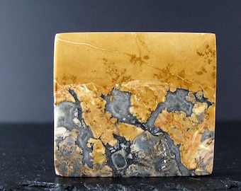 May include: A square, polished stone with a unique pattern. The top half is a warm, tan color with delicate, branching lines. The bottom half features a mix of gray, black, and reddish-brown hues, creating a natural, abstract design. The stone has a smooth, finished surface.