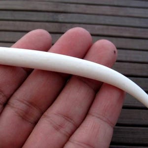 TWO  pieces of Our Longest Hand Carved  buffalo bone Tusk , Buffalo Bone Carving, bone White, NOT Drilled,  B6880-10 mm end Thickness