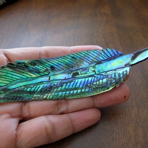 VERKAUF Extra Groß (100 + mm) Paua Feder Anhänger, Abalone Halskette, ANFRAGE Bohren bei Bedarf B6431