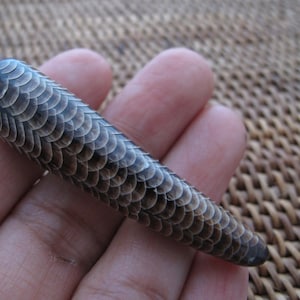 Hand Carved Tusk , Buffalo horn Carving,  NOT Drilled, attach note if you need drilling B8718