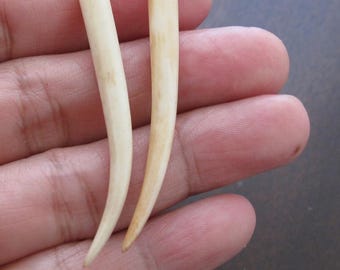Matched Pair of  Hand Carved Buffalo Bone  Tusks , Buffalo Bone Carving