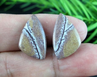 Sonoran jasper Pair cabochon, Jewelry making supplies