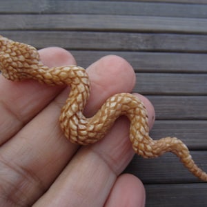 Antique look Finely Detailed Hand  Carved Rattle Snake, Focal pendant,  Bone Bead, Side-Drilled in Mouth, Jewelry making Supplies B3463