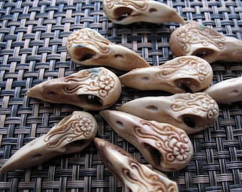 SALE  Imperfection -   Raven Skull ,DRILLED, Naturally  Shed Deer Antler, gothic pendant  Jewelry making supplies B8194