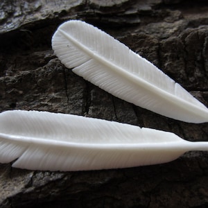 May include: Two white carved feathers, one on top of the other, on a dark brown wooden background.
