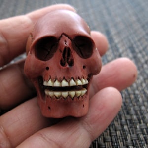 Deep Relief Hand Carved  Medium-Sized Wooden Skull , Sabo Wood Carving,   ,  Jewelry supplies B8655