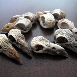 SALE  Imperfection -   Raven Skull ,DRILLED, Naturally  Shed Deer Antler, gothic pendant  Jewelry making supplies B8194