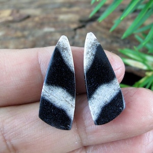 Indonesian petrified wood cabochon earring pair, Natural stone, Jewelry making supplies   B9032
