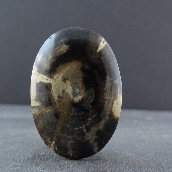 Gorgeous oval petrified wood cabochon, Natural cabochon, black,  Jewelry making SUpplies B3748
