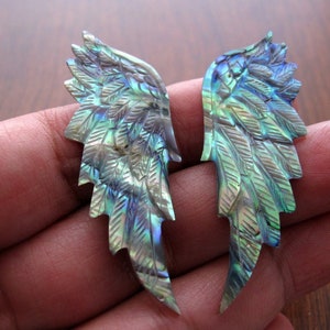 Excellent  Carved  Angel Wing in Abalone, Carved Seraphim,  Jewelry making Supplies B8840