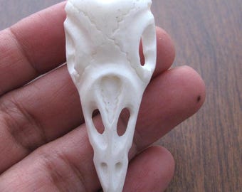 Hand Carved Raven Pendant, Side-Drilled,  Choker, Buffalo Bone Carving, Pendant Beads,Jewelry making Supplies B8535