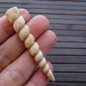 Beautiful Hand Carved  Antique Look Unicorn Horn, Buffalo Bone, NOT-Drilled, Jewelry making supplies B5183