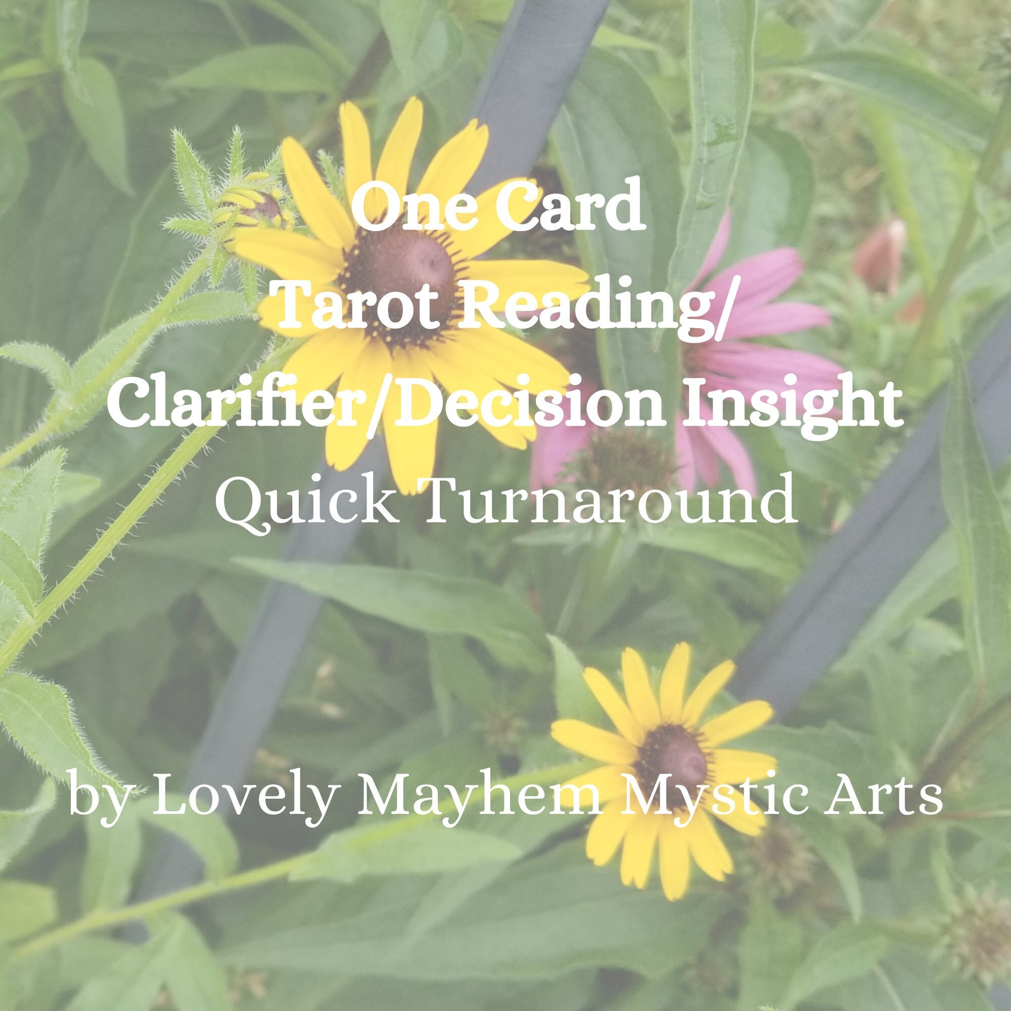 One Card Tarot Reading/clarifier/decision Insight/quick Etsy