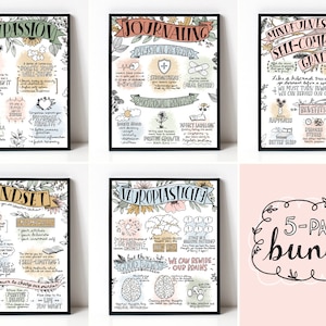 Sketchnote Collection- Compassion, Journaling, Mindfulness/Self-Compassion/Gratitude, Mindset, Neuroplasticity - Therapy Self Care 8x10 Pack