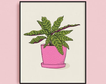 Rattlesnake Plant Illustration, Calathea Lancifolia Plant Artwork, 8x10 Botanical Art Print, Plant Wall Art, Plant Lady Gifts, Cute Plants