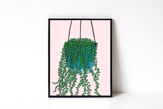 String Of Pearls Plant Illustration - 8x10 Art Print - Gift For Plant Lover - Houseplants - Plant Lady - Plant Art - Gardening - Wall Art