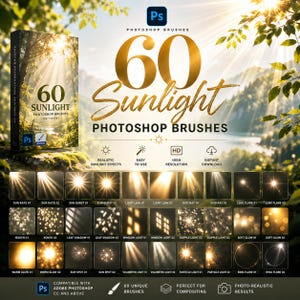 May include: A digital product set of 60 sunlight Photoshop brushes featuring a variety of light effects including sun rays, bursts, lens flares, bokeh, leaf shadows, window light, dapples, glows, and volumetric light, presented in a grid layout.