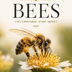 Könnte beinhalten: Ein Plakat mit dem Titel WONDER EXPLORERS BEES TINY CREATURES. GIANT IMPACT. zeigt eine detaillierte Honigbiene mit gelbem Pollen am Bein auf einer weiß-gelben Blume. Der untere Text lautet OBSERVE INVESTIGATE CREATE TAKE ACTION WONDER & LEARN STUDIO.