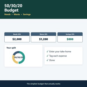 50 30 20 Budget Template Google Sheets & Excel | Needs Wants Savings Tracker, Simple Monthly Budget Planner Spreadsheet