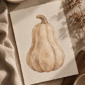 Beige squashtryck, neutral höstväggkonst, akvarell squashutskrift, höstbotanisk konst, minimalistisk köksinredning, mysig höstdekor