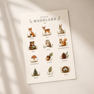 Op de afbeelding: Een rechthoekige educatieve poster met de titel LITTLE WOODLAND met twaalf illustraties in aquarel-stijl van bosdieren en natuurelementen, waaronder een vos, hert, konijn, beer, uil, eekhoorn, paddenstoel, eikel, dennenappel, boom, blad en nest.