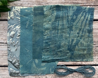 Small Plant Dye Samplers